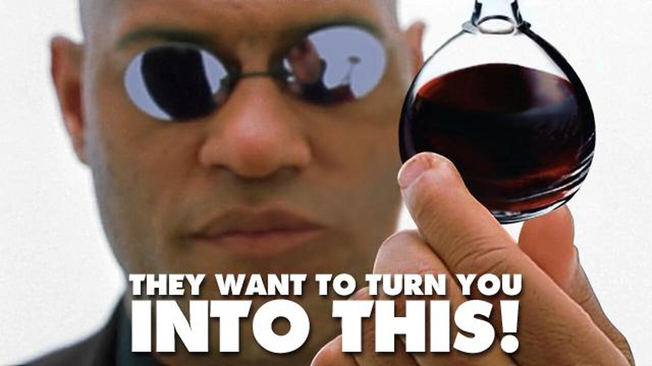 Child Harvesting on an Industrial Scale - Stew Peters Interviews JakeG