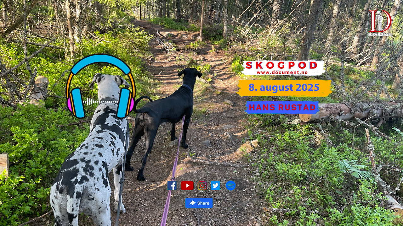 Skogpod 8. august 2025