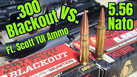 5.56 nato vs. .300 Blackout Pork Shoulder and Ballistics gel test with Fort Scott TUI Ammunition