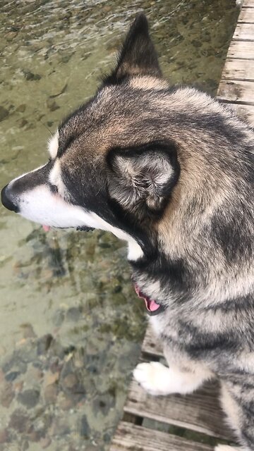 Saturday September 6, Then David praised the Lord.