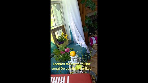 Remake of song The Middle by Jimmy Eat World! Song for my lemon Leonard! Does he like it?