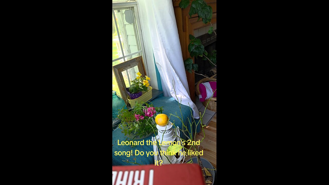 Remake of song The Middle by Jimmy Eat World! Song for my lemon Leonard! Does he like it?