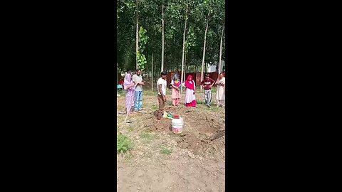 satisfying Video