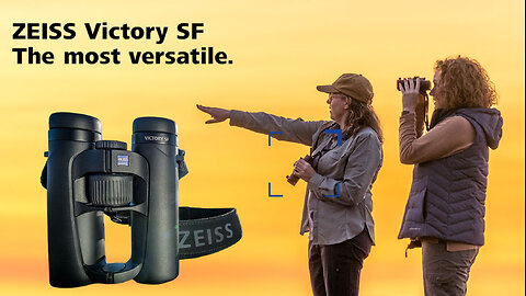 Top 5 BEST Binoculars (2025) Tested and Reviewed!