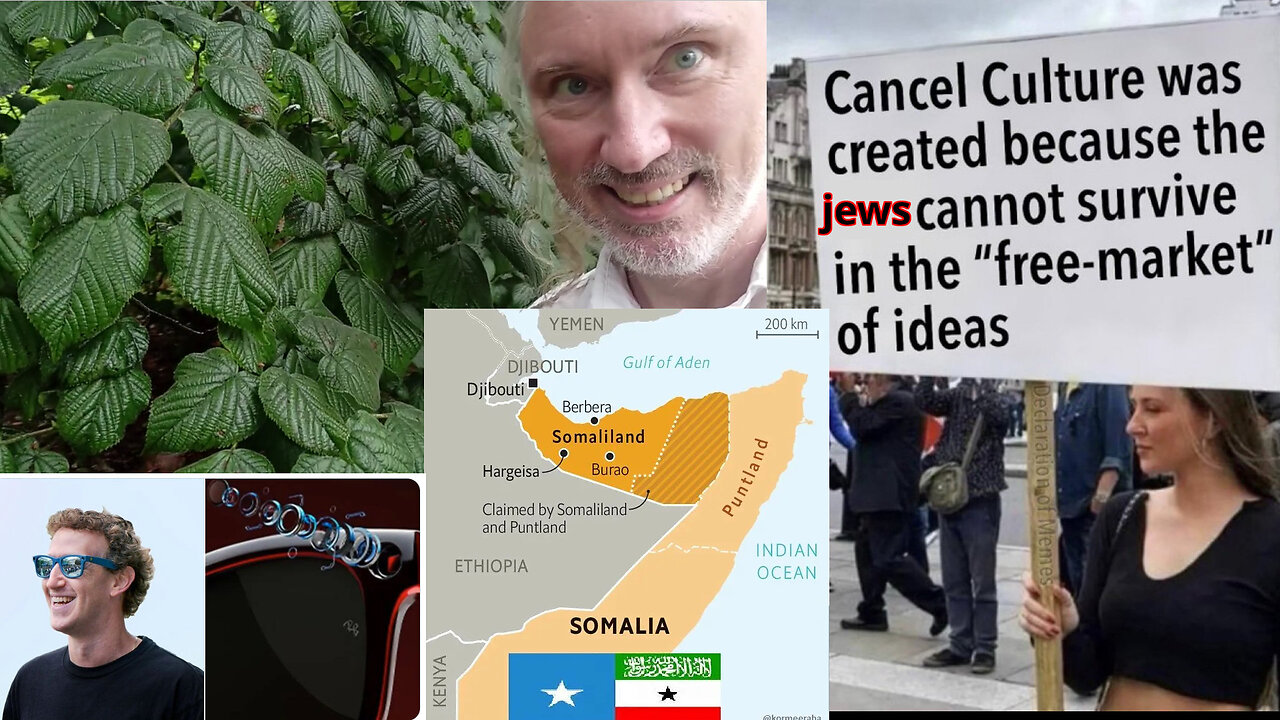 Right words. AI brain. Grok lies; bans GabAI. Credit creation. MAGA Kentucky. Somaliland buys Trump?