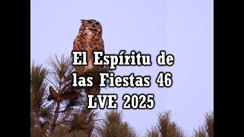 El Espíritu de las Fiestas 46