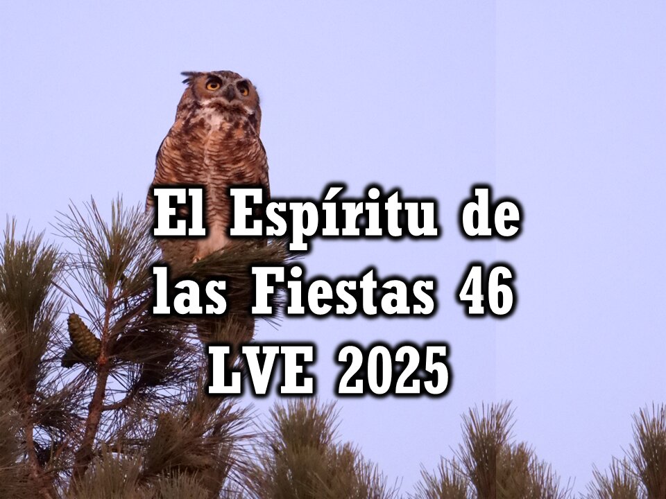 El Espíritu de las Fiestas 46