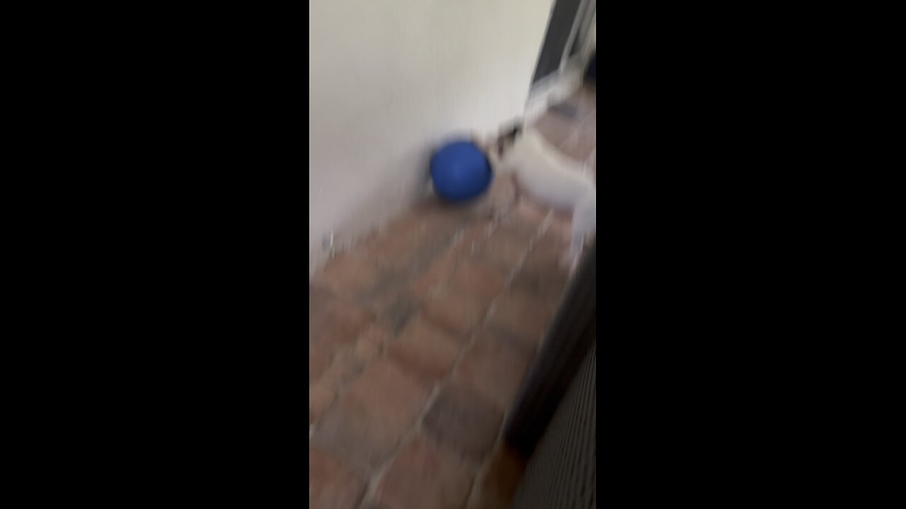 My crazy Hack