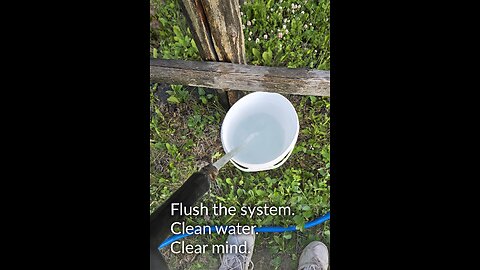 Flushed the whole damn system.