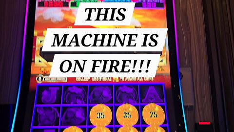 MAXI, MAXI, MAXI PLAYING ALL ABOARD SLOT MACHINE!!!!