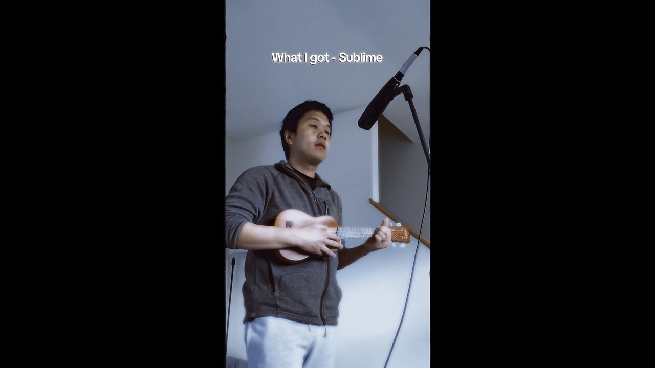 What I got - Sublime (acoustic ukulele cover)