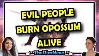TheDimNews LIVE: Evil Monsters Burn Opossum Alive | Tokyo Hotel Includes Complimentary Man Under Bed