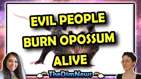 TheDimNews LIVE: Evil Monsters Burn Opossum Alive | Tokyo Hotel Includes Complimentary Man Under Bed