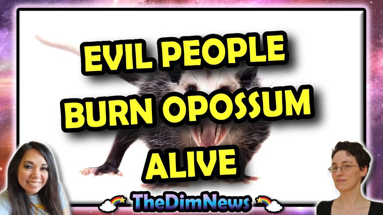 TheDimNews LIVE: Evil Monsters Burn Opossum Alive | Tokyo Hotel Includes Complimentary Man Under Bed
