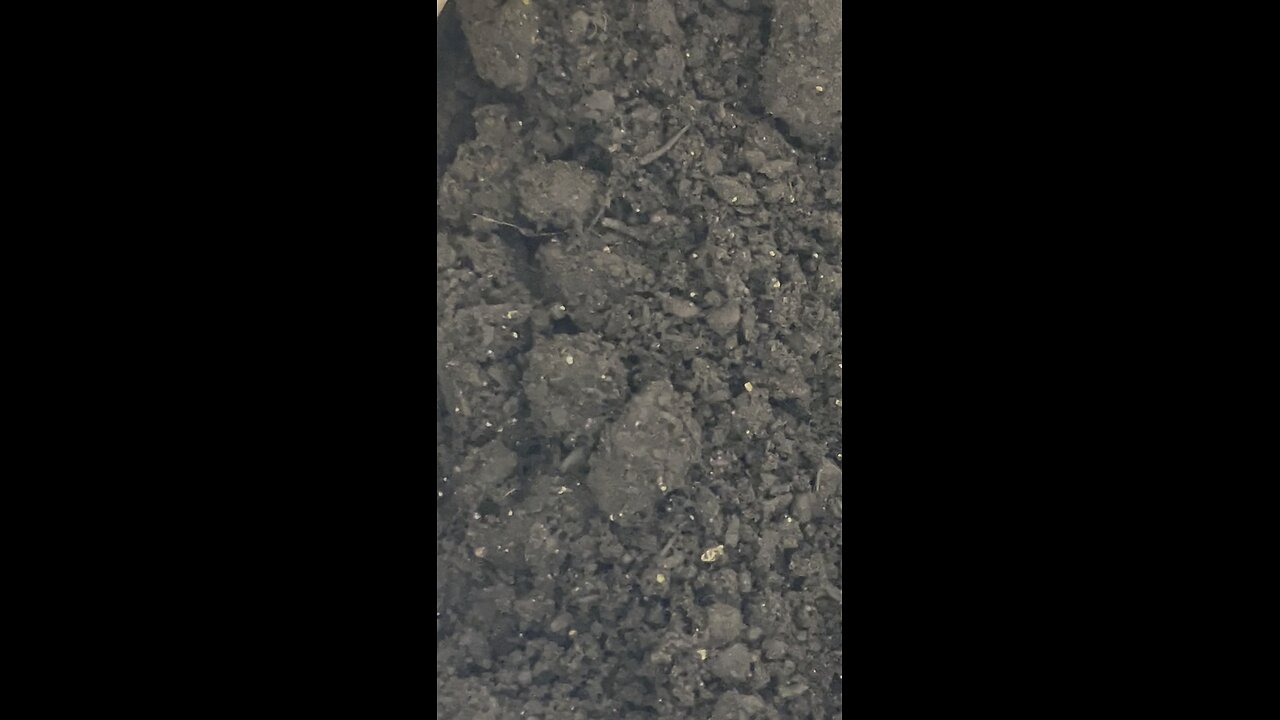 FREE SOIL TEST - True Organic Worm Castings