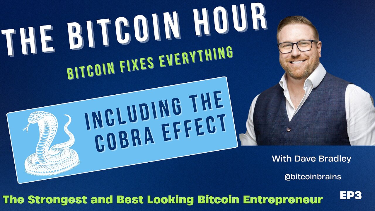 The Bitcoin Hour EP3 - The Cobra Effect