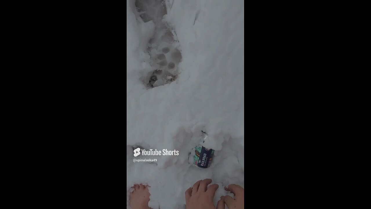 Beer in the snow #Subscribe #Alaska #Outdoor #Beer #Food #Camping #Cabin #Nature #Snow #fyp #DJI