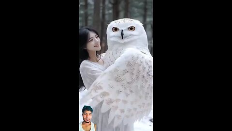 Owl is the most amazing thing!