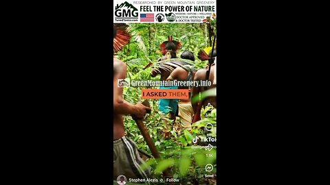 🌿 Plants Communicate & Heal: The Story of Chanca Piedra the kidney stone smasher