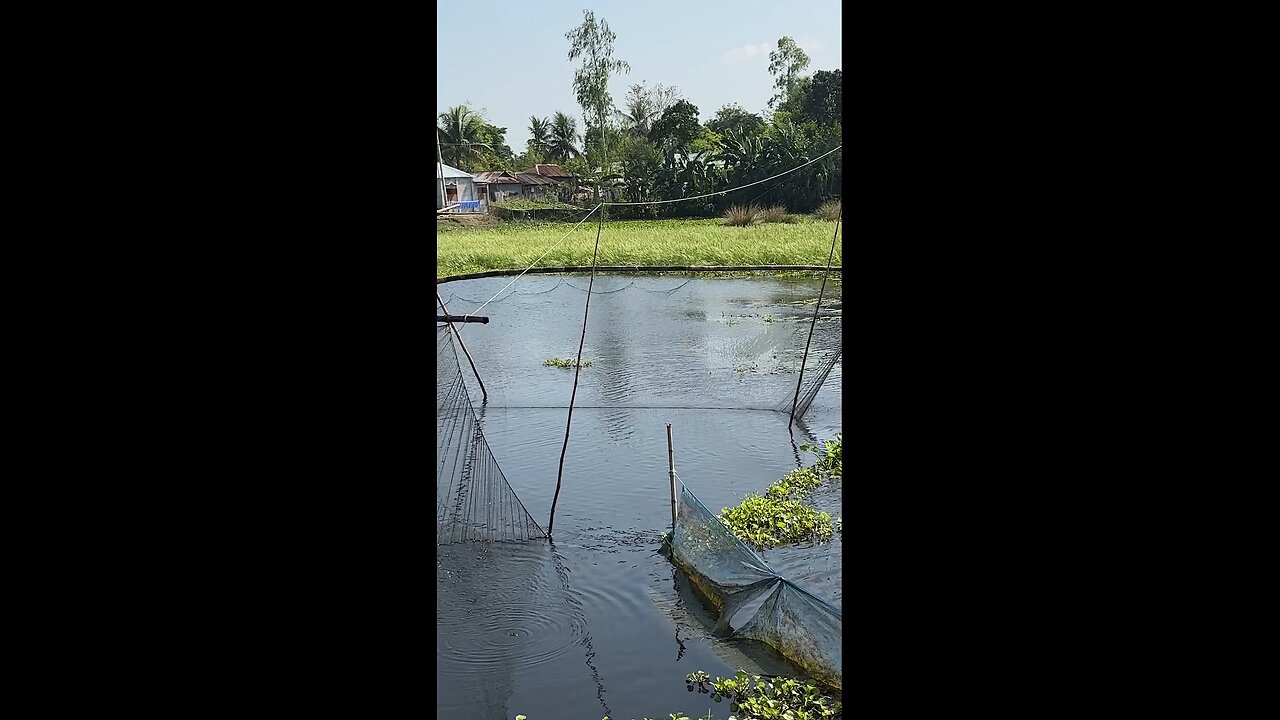 এটাই আমার দেশ