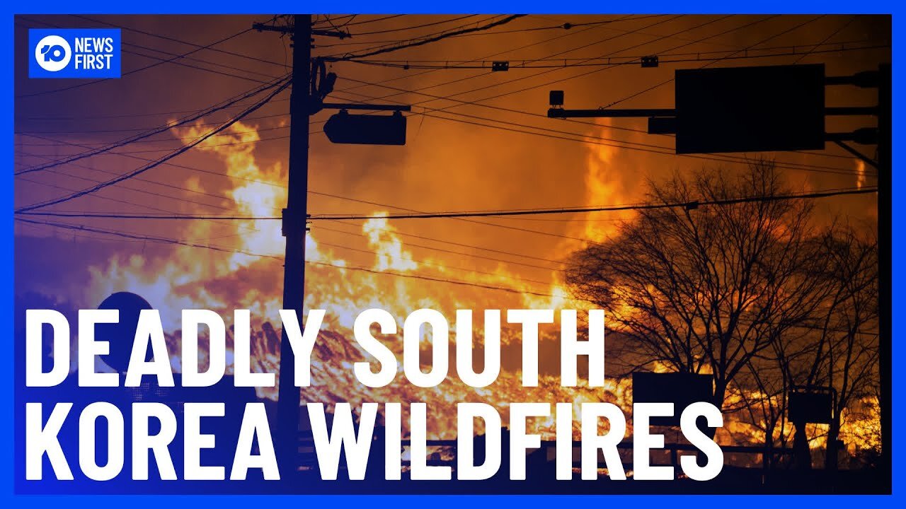 South_Korea_Wildfires__24_Dead_As_Multiple_Deadly_Fires_Continue_Burning___10_News_First