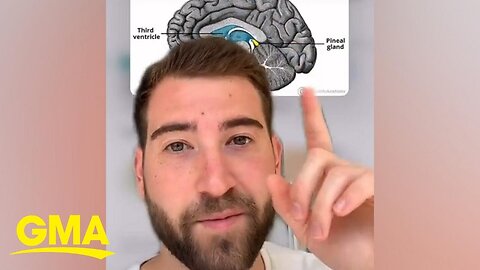 "Unlocking Mysteries: A Neuroscientist's Insight on the Third Eye Phenomenon"