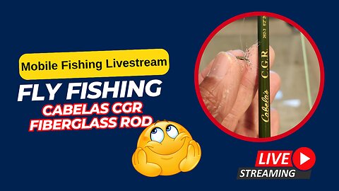 Urban Pond Fly Fishing with Fiberglass CGR Fly Rod #fishing #flyfishing #mobile #livestream
