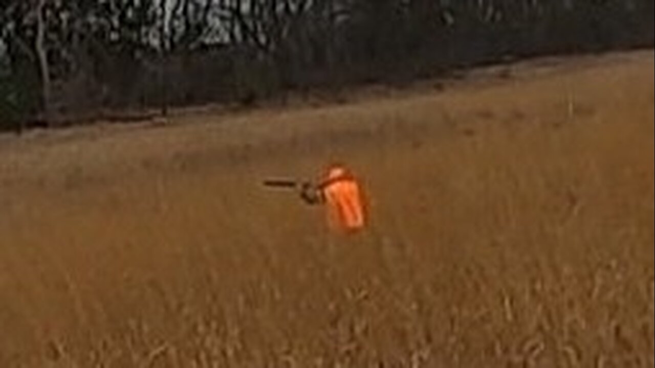 28 ga makes meat