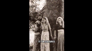 Bare Feet On Earth Recharge The Body