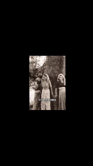 Bare Feet On Earth Recharge The Body