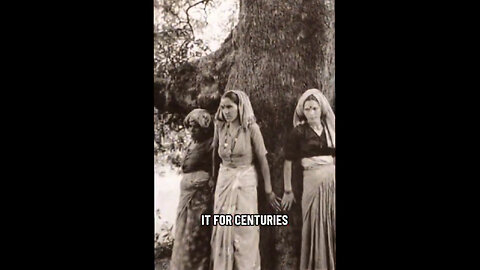 Bare Feet On Earth Recharge The Body