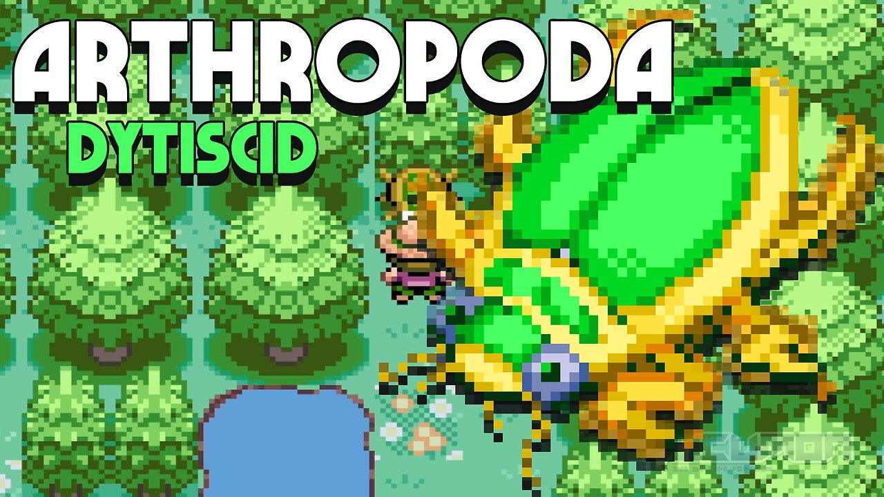 Arthropoda Dytiscid - GBA ROM Hack, new story, a new region about dytiscidae