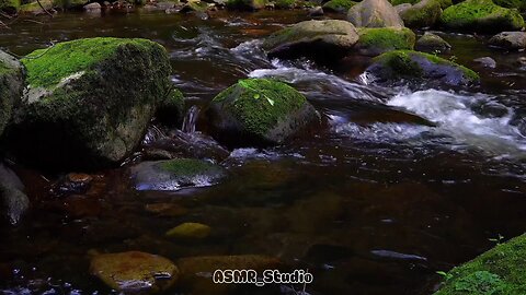 Fall Asleep in 3 Minutes | Piano, Water & Cricket Sounds for Better Sleep