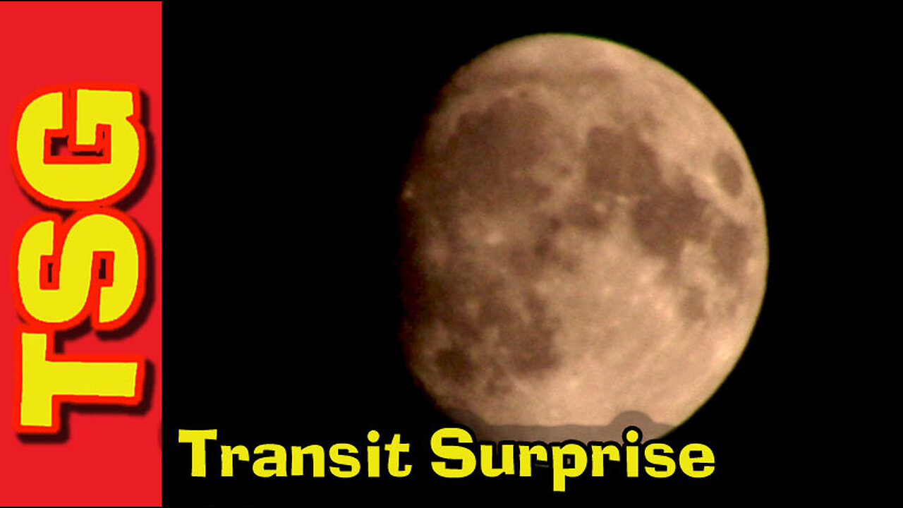 Waxing Gibbous Moon and bats flying