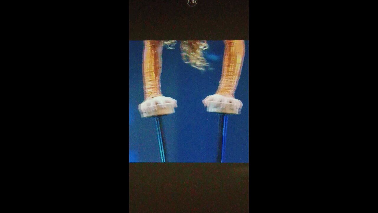 Amazing Acts