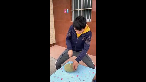 funny videos