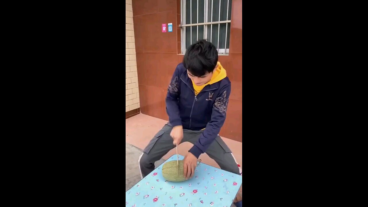 funny videos