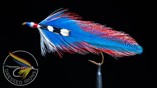 Tying the America - Dressed Irons