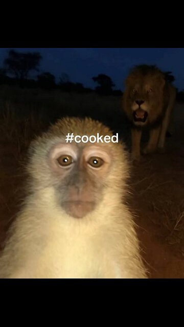 LOST SIGNAL 🤣🤣🤣