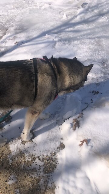 Monday March 17, Be patient as you wait for the Lord’s return.