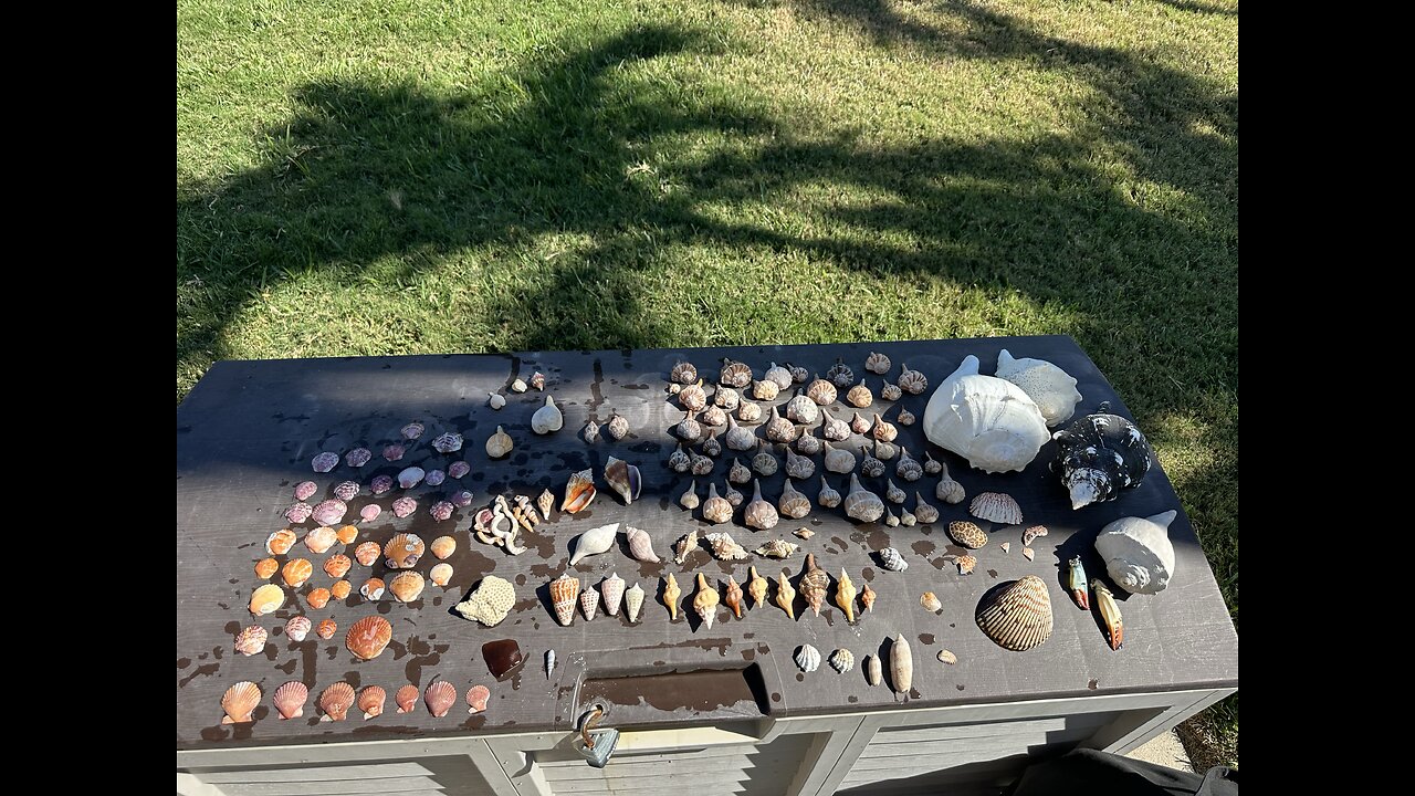 Beach Finds 4/13/2025 | 4K