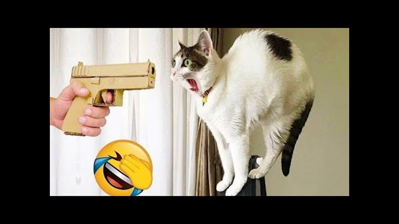 Hilarious Animal Fails That Will Make Your Day | Funny Pets Compilation
