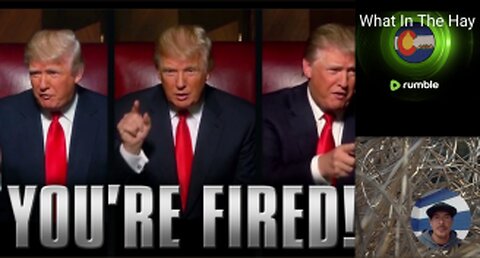 Jimmy Kimmel FIRED! LEFTISTS FAFO & GET FIRED
