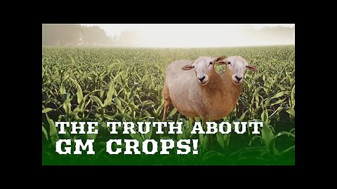 Transgenic Wars | The Hidden Cost of GM Agriculture