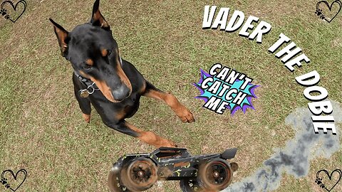 Doberman RC Truck Yard Chase Chaos! | Vader vs. The Speedy RC Truck 🐾💨