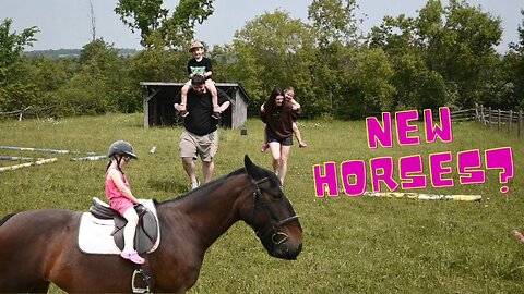 We've Got TWO New HORSES In Our FIELDS!