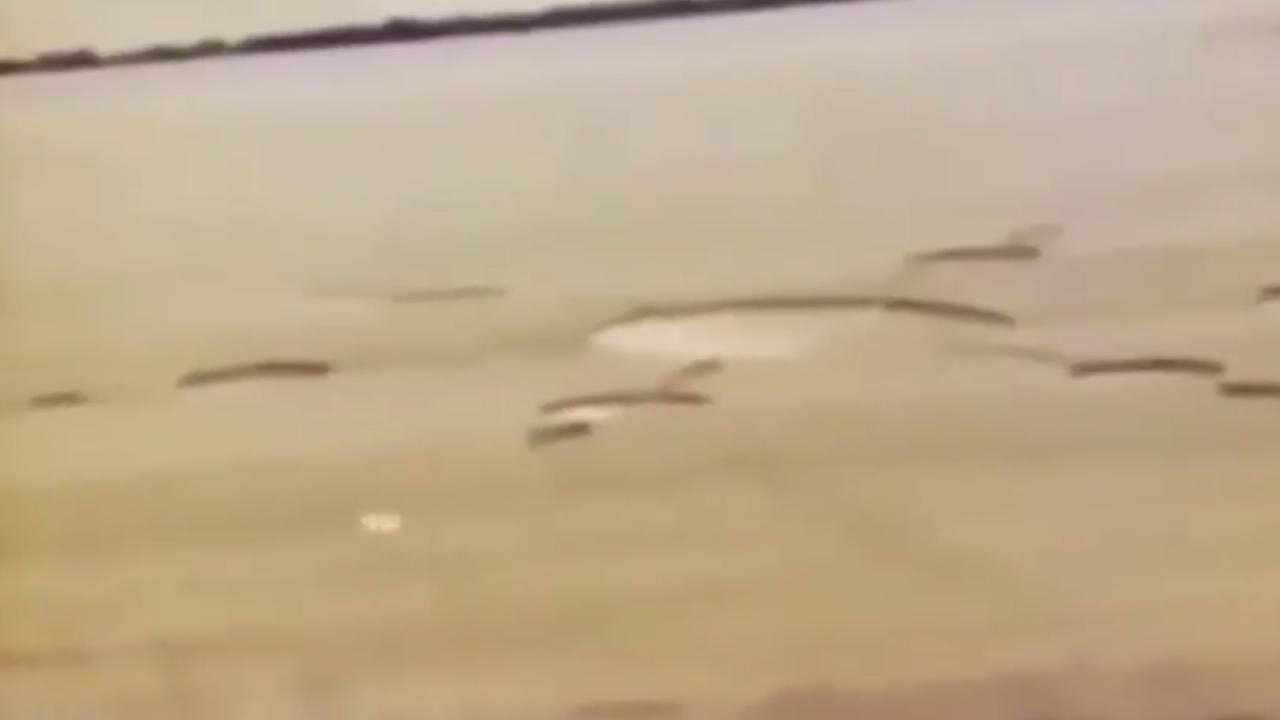 Orbs Forming Crop Circles ~ by The School of Mystics