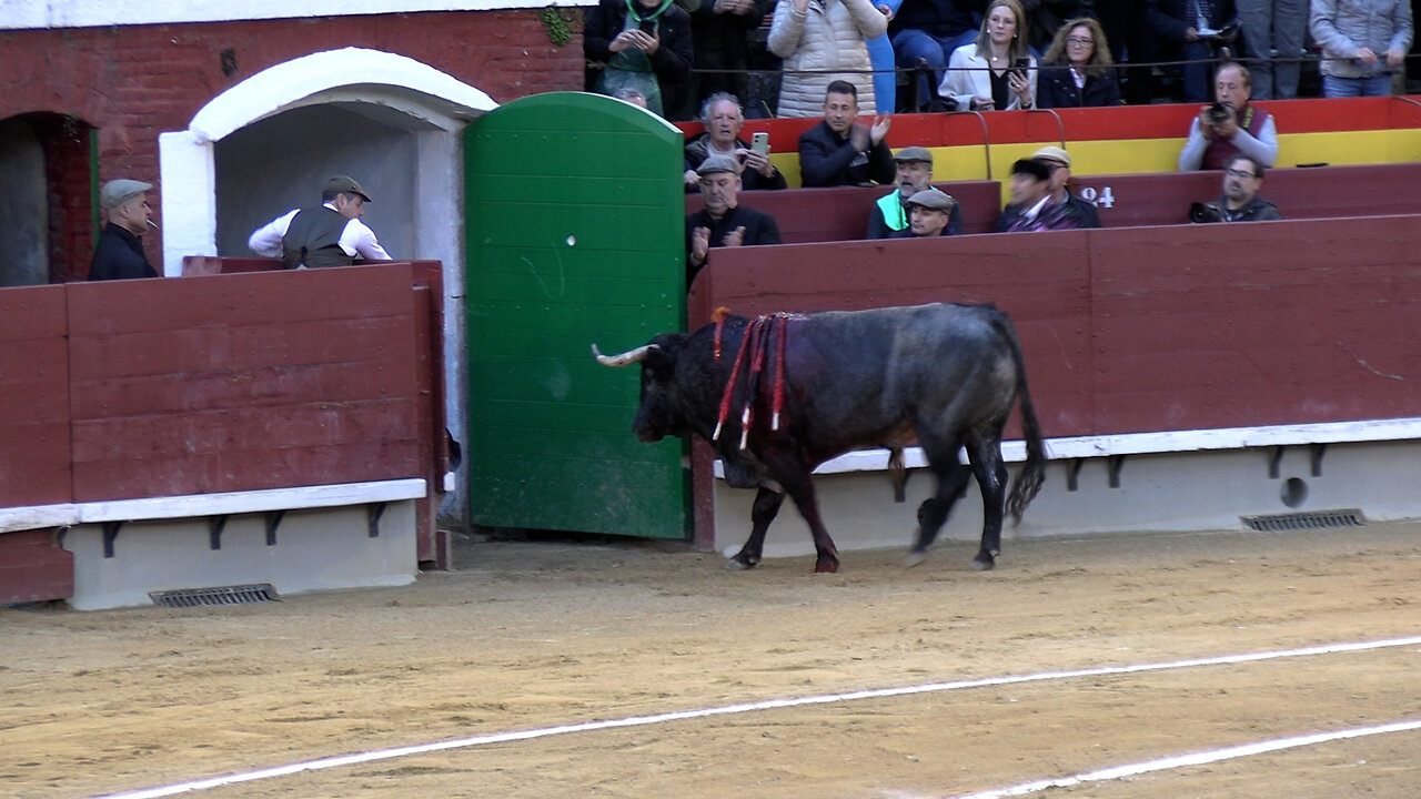 2025 03 23 CASTELLÓN CORRIDA DE TOROS LA QUINTA
