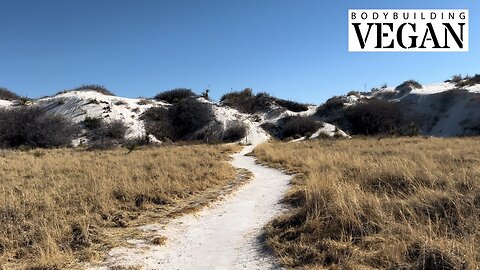 Road Trip Adventure Vlog 3 - White Sands, Questionable “Snacks”, and the Land of Saguaro Cacti!