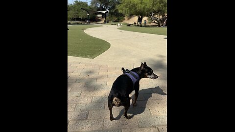 Ridin around w this girl